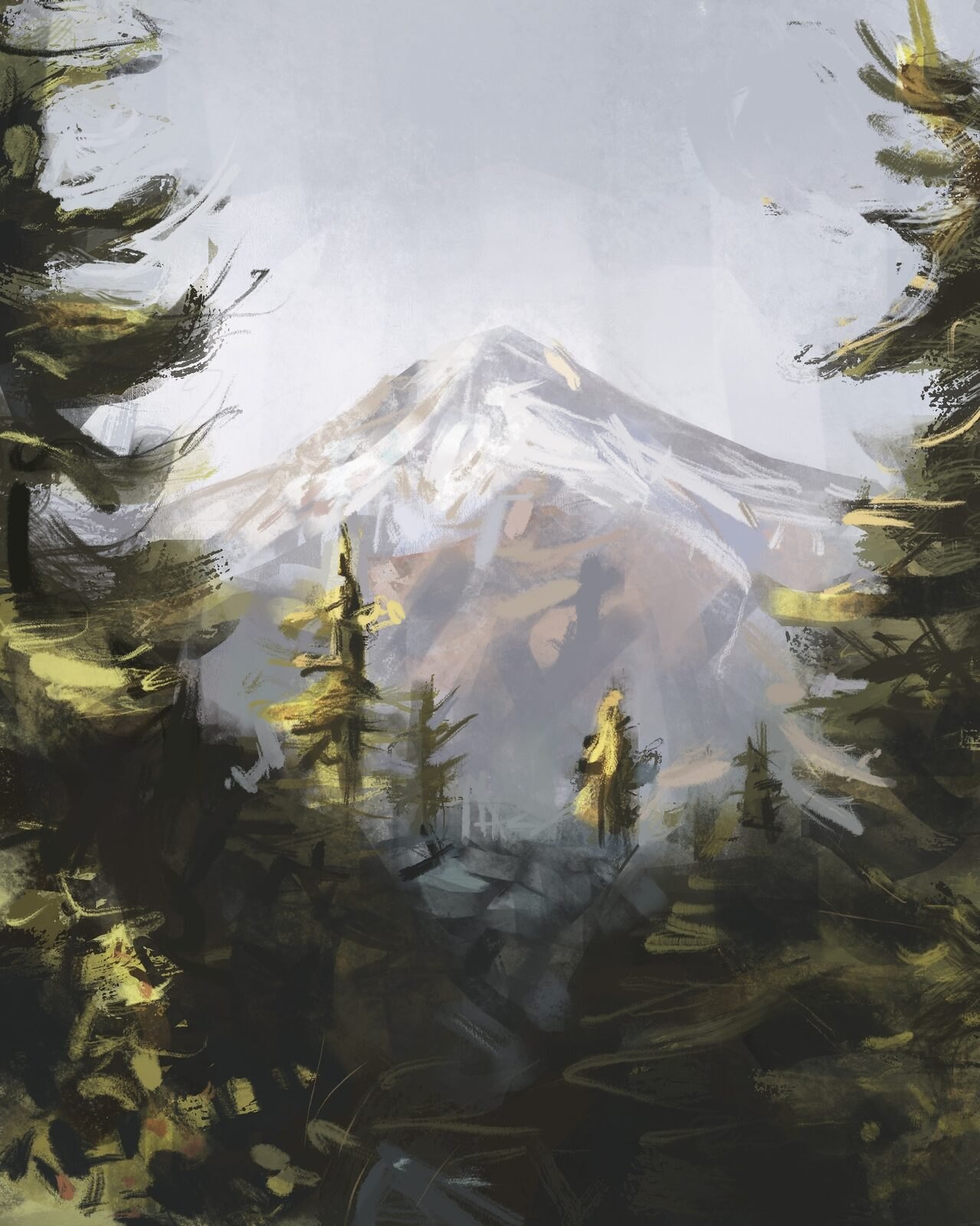 View of a misty mountain through trees