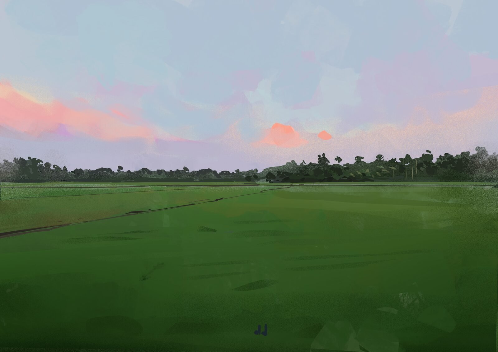 Open field at sunset