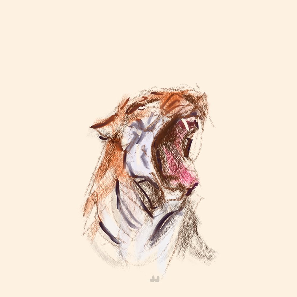 Portrait sketch